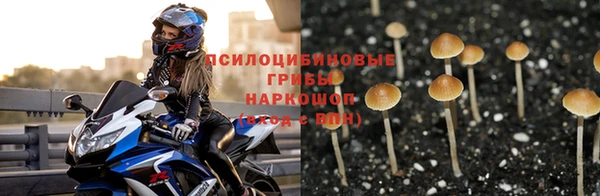 стафф Сафоново