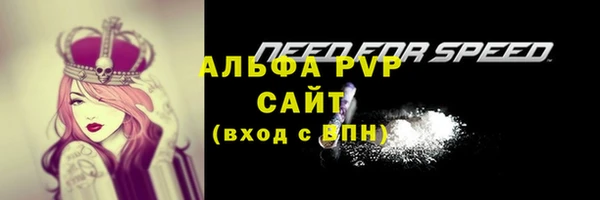 Альфа ПВП Баксан