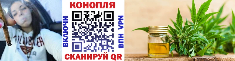 Конопля сатива Вяземский